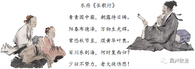 asiagame(中国区)官方网站