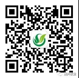 asiagame(中国区)官方网站