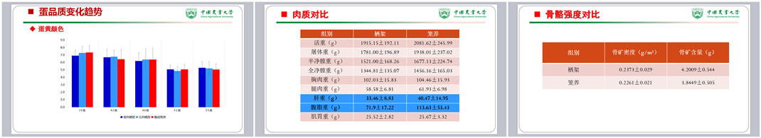 asiagame(中国区)官方网站