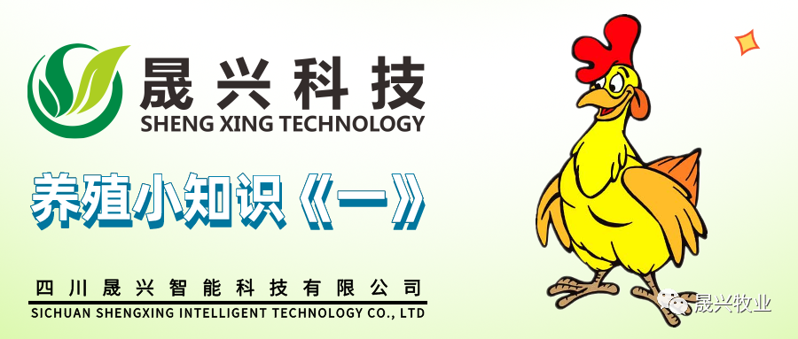 asiagame(中国区)官方网站