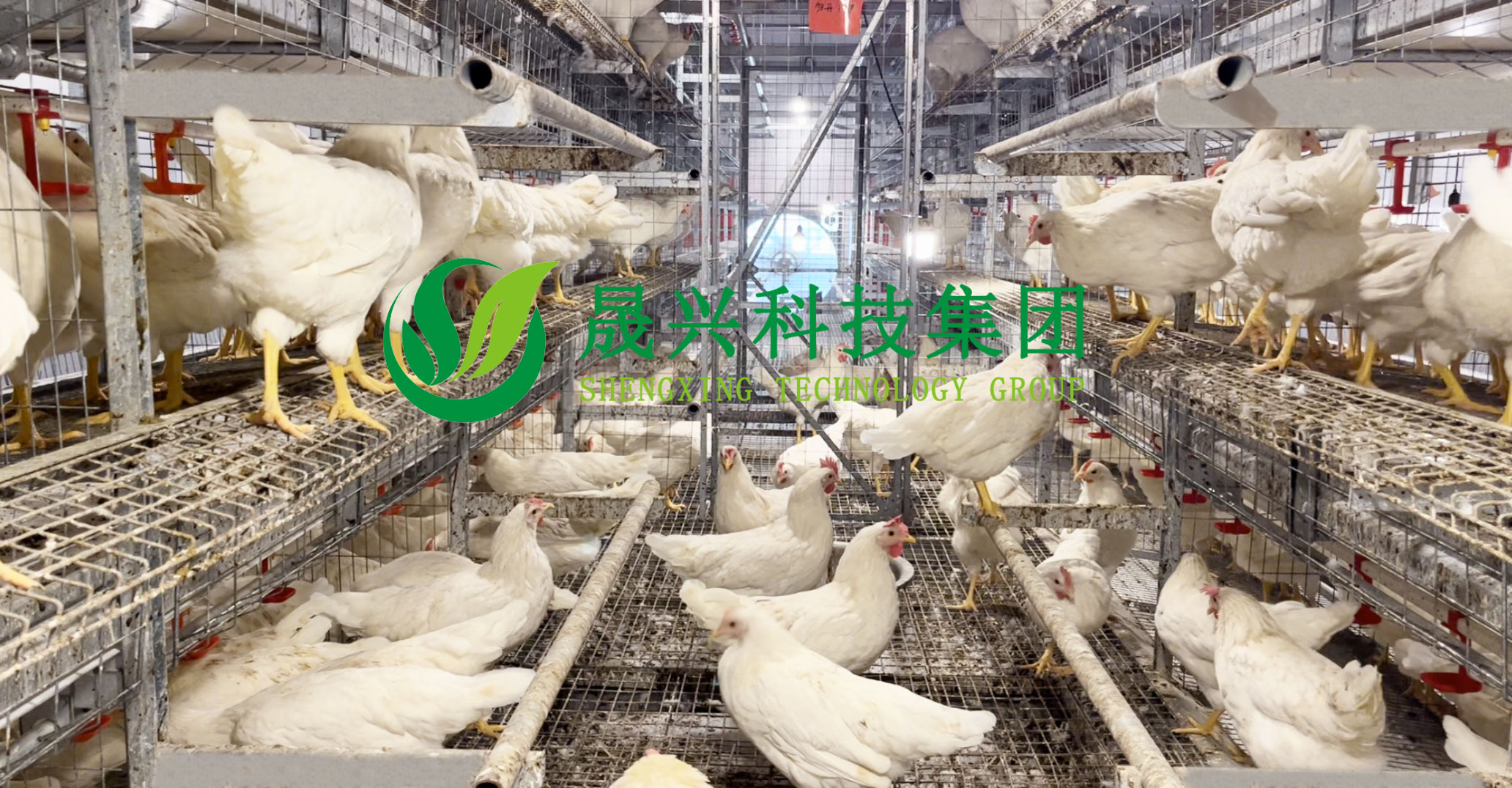 asiagame(中国区)官方网站