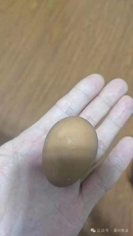 asiagame(中国区)官方网站