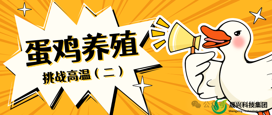 asiagame(中国区)官方网站
